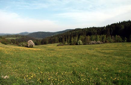 Šumava